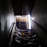 Chcete bydlet na WC? Jak se změnil veřejný záchod v podzemí k nepoznání Foto: Fiona Murray
