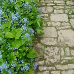 Přírodní kámen se hodí i na tvorbu příjedzové cesty, důležitá je ale důkladná úprava podloží. Foto:Ing. Lucie Peukertová