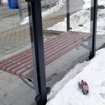 Prosklené plochy a zastávky jsou častým místem úmrtí mnoha ptáků. Ve městech to jsou část autobusové zastávky. Foto: Jiří Bartl