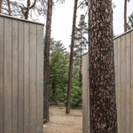 Les s okny, která vedou do domu. Moderní symbiotické eko-bydlení Foto: César Béjar Zdroj: Zeller & Moye