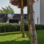 Měli u domu nevzhledné betonové sloupořadí. Vyčarovali z něj elegantní přístavbu Foto: Fitim Mucaj