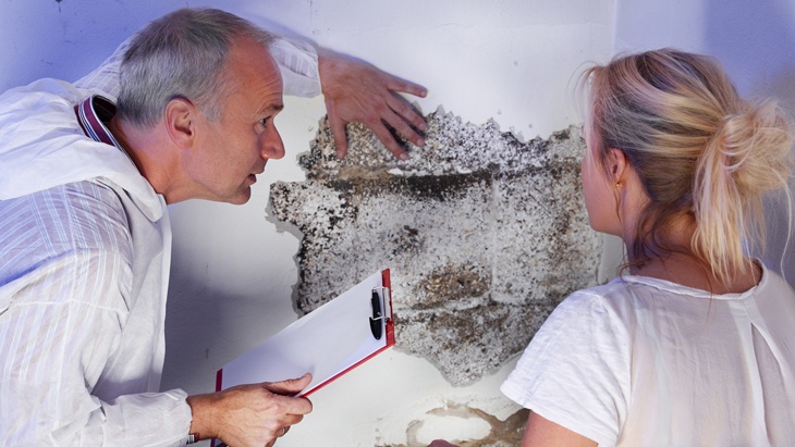 Karin & Uwe Annas Až třetina českých nemovitostí trpí plísněmi