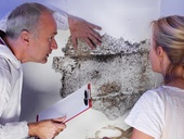 Karin & Uwe Annas Až třetina českých nemovitostí trpí plísněmi