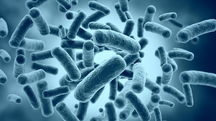 Jezper - fotolia.com Uspořádání interiéru ovlivňuje biogeografii mikrobů