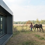 Stodola k bydlení. Architekti upřednostnili výhled na koně Foto: Tom Kurek