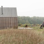 Stodola k bydlení. Architekti upřednostnili výhled na koně Foto: Tom Kurek