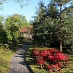 Zahrada historické rodinné vily s vlastním arboretem Foto: manželé Brdičkovi 