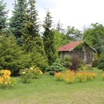 Zahrada historické rodinné vily s vlastním arboretem Foto: manželé Brdičkovi 