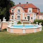 Zahrada historické rodinné vily s vlastním arboretem Foto: manželé Brdičkovi 