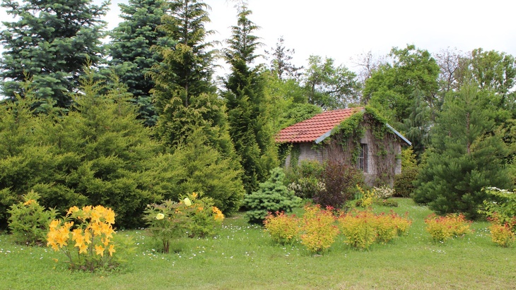 Foto: manželé Brdičkovi