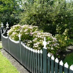 Pro Holandsko jsou typické nízké dřevěné ploty mnohdy i výrazných barevZdroj: Ing. Lucie Peukertová