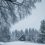 Chata na konci světa vyplouvá z lesa jako dřevěná loď Foto:  Petr Polák