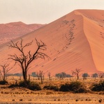 Krajina je stejně nehostinná jako Sahara Zdroj: pexels.com