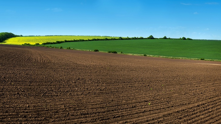 Zdroj: AdobeStock - pavlobaliukh Zdroj: AdobeStock - pavlobaliukh